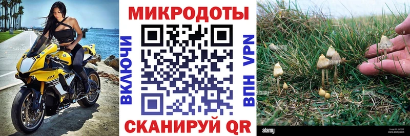 ОМГ ОМГ ССЫЛКА  купить закладку  Лыткарино  Псилоцибиновые грибы MAGIC MUSHROOMS 